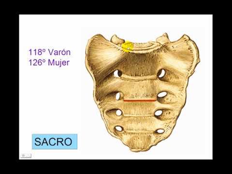 Di mal di schiena e Mydocalmum Il tutore sul ginocchio cerniera giunto acquistare
