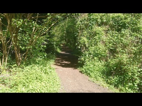 Walking about in New Addington Live! 12/05/2019 - Mobile Stream (40)