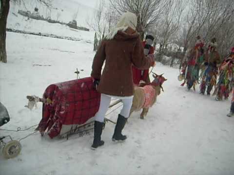 capra bahnaseni - tapi cu sania 2008