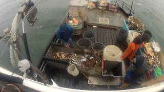 Dungeness Crabbing on the Fishing Vessel Lady Laura in Oregon
