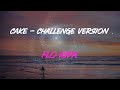 Flo Rida Cake Challenge Version Lyrics I Only Came For The Cake