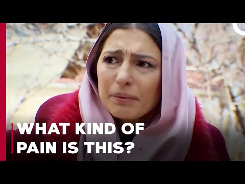 Who's My Daughter? - Can't Stop Loving You