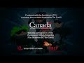 DHX Media 2017