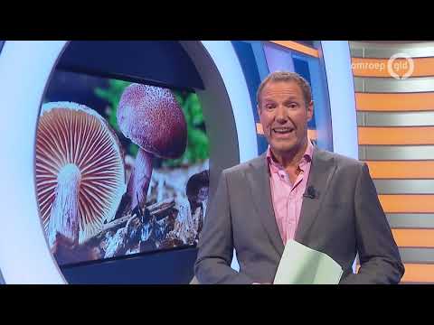 GLD Nieuws 3 oktober 2018 - Woensdag 3 oktober