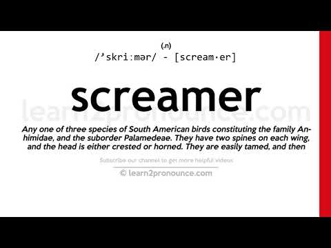 Pronunciation of Screamer | Definition of Screamer