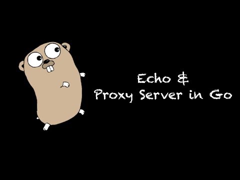 Echo Server, and Proxying with Go