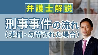 [実況] 刑事事件の流れ（逮捕・勾留あり）とは？ 勾留期間は延長される？｜弁護士YouTube法律解説