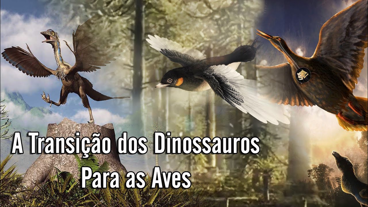 Como os Dinossauros se Transformaram em Aves? (A Origem das Aves)