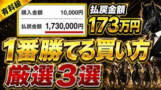 【初心者必見】この3つの買い方をするだけで競馬で簡単に稼げるようになります【競馬投資】