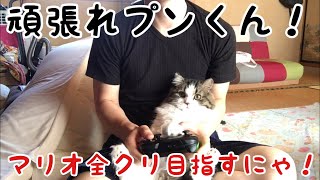 プンくんがマリオをやります。