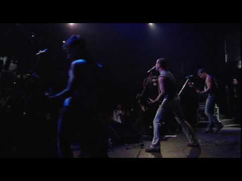 DVD   Pornoriviste liveL'UOMO DEL LUNEDì