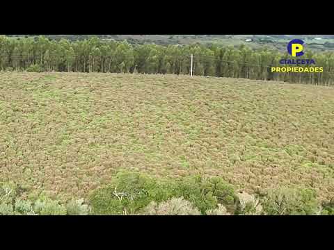 Chacra de 8 hectáreas en Maldonado NO DISPONIBLE