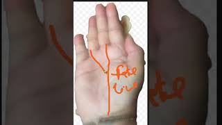 #Palmistry -Good Sun Line Sign in Hand (English)-Watch this video to know good sun line mark in hand