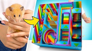 Download lagu Cara Membuat Labirin Hamster Raksasa dari POP-IT! mp3 Download lagu Cara Membuat Labirin Hamster Raksasa dari POP-IT! mp3