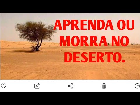 APRENDA OU MORRA NO DESERTO.