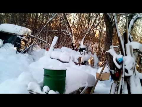 Куры в теплице в мороз -32/Собака, кролики, коза в мороз/Иван-чай с малиной и шиповником