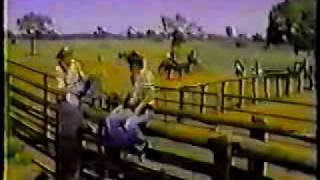 John Denver in Australia (1978) - Part 3 - Late Nite Radio &amp; Druthers