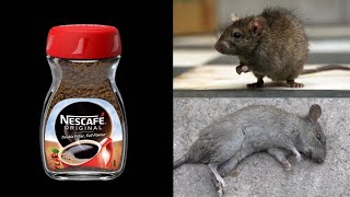How To Kill Rats Within 5 minutes || Home Remedy |Magic Ingredient | Mr. Maker