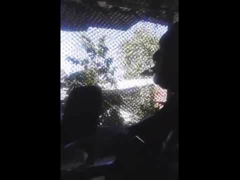 Au tagi lo sigidrigi PENI SENIYASI