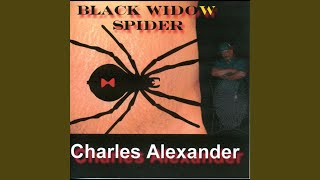 Black Widow Spider