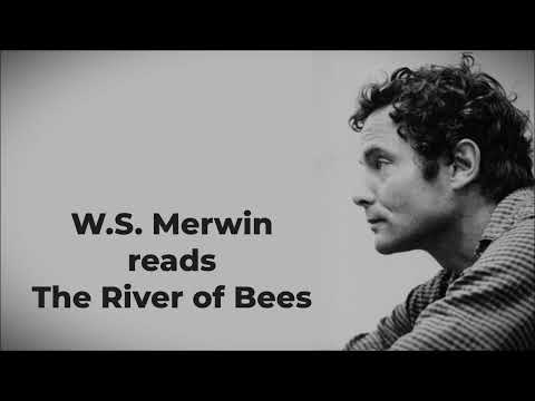 Video thumbnail for The River Bees