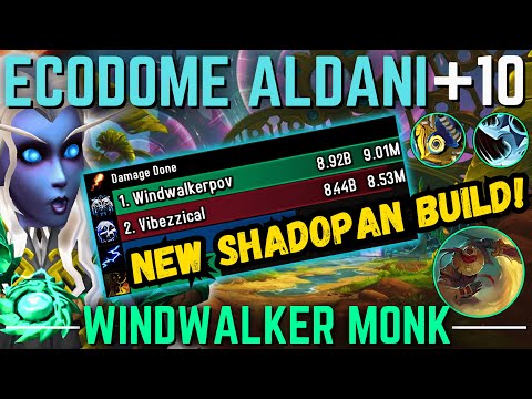 This NEW Shadopan Build Does CRAZY Damage | Windwalker Monk