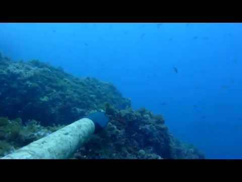 Pesca sub-buone apnee ma cattiva compensazione