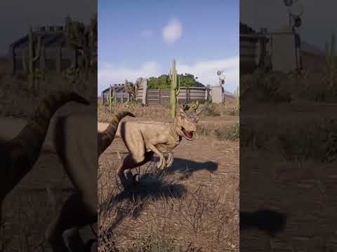 Carnoraptor socialising - JWE2 (mod)