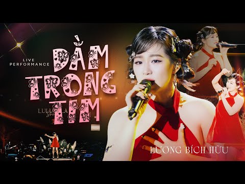 Lương Bích Hữu - Dằm Trong Tim (Phối Mới 2025) | Live Band #Lululola