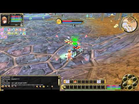 Insanity Flyff E11 - Templar lvl 1 - 60