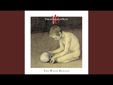 Trial by Fire - ThouShaltNot
