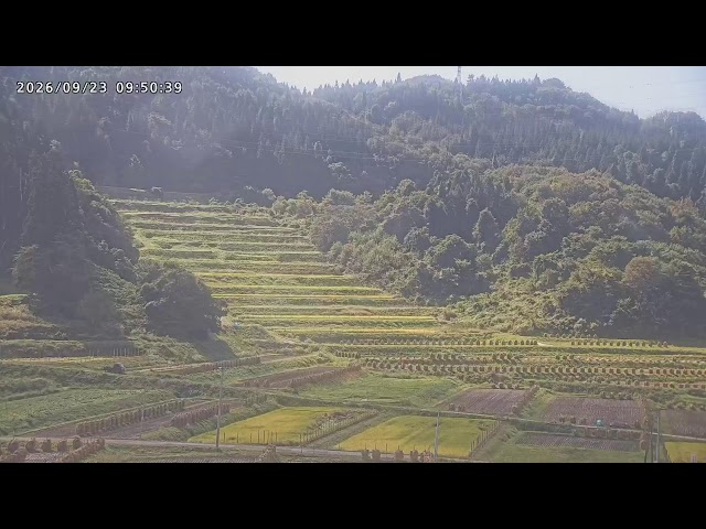 大蕨の棚田（寛永13年・1636年からの歴史を持つ棚田）