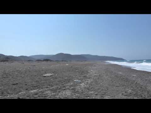 Dead Turtle on The North Coast Of Rhodes, Greece
