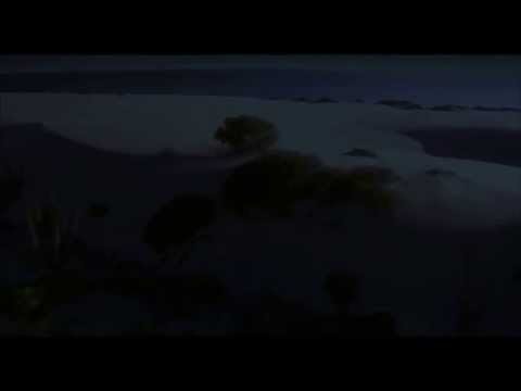 The Beauty of Pollination Wings of Life Wings of Life Disney Video