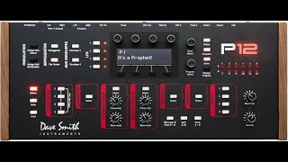Video thumbnail for Dave Smith Instruments "Prophet 12" demo by GJC Synths