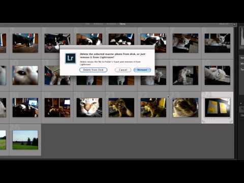 How to Run Lightroom in 64 Bit