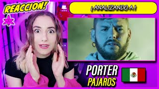 Porter - Pájaros - REACCION y ANALISIS MUSICAL