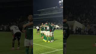 TODOS OS GOLS DO PALMEIRAS CONTRA O VITÓRIA POR UM ÂNGULO DIFERENTE