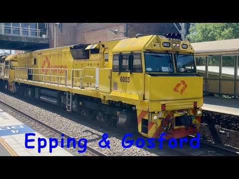 Australia: Train watching at Epping & Gosford Stations