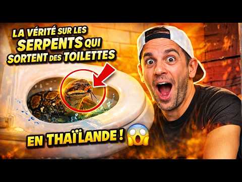 La vérité sur les serpents qui sortent des toilettes en Thaïlande feat @ToopetVideos