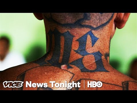 MS-13's Active Members Are Laughing At Trump's Crackdown (HBO)