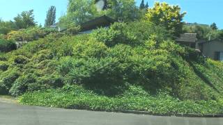 preview picture of video 'Dash cam drive around a cool area in Portland OR'