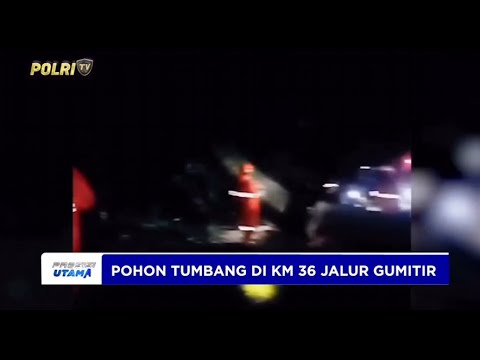 POLRES JEMBER DAN BPBD EVAKUASI POHON TUMBANG