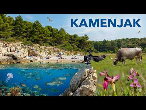Kamenjak, Istria – Wild Coast, Hidden Coves & Life Beneath the Sea