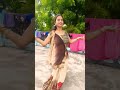 Video Billo Rani Rajdhani Me Tahalka Ho Trending Song Akshara Sing