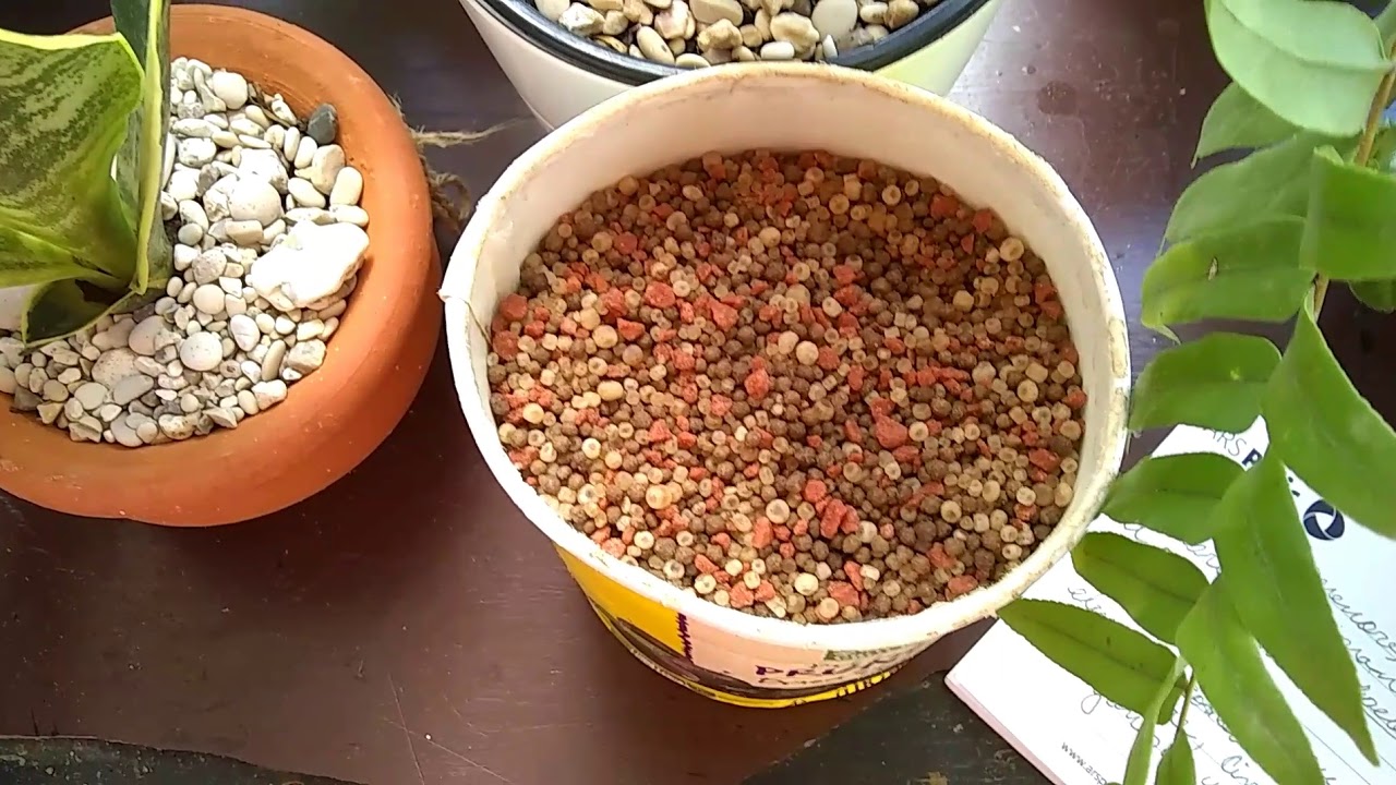 Watch Cómo usar el abono triple 15. Now Cómo usar el abono triple 15.