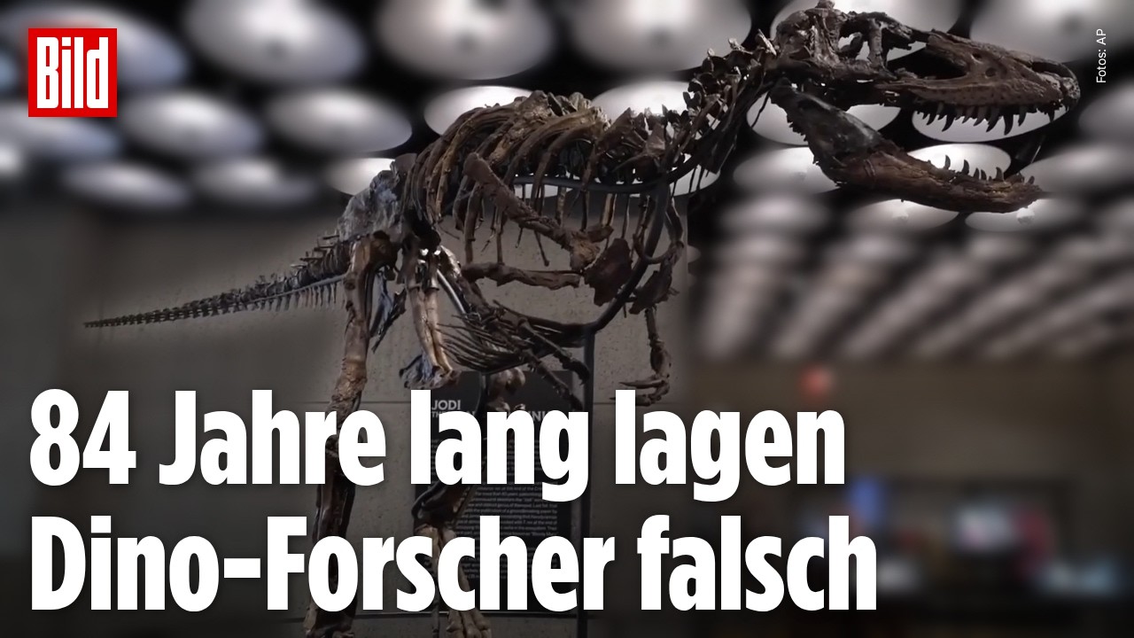 DINO-SENSATION: Dieses Raubtier-Skelett soll 9 Millionen Dollar wert sein!