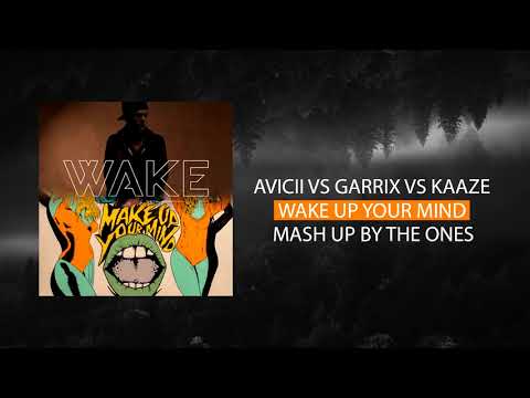 Avicii ft. Aloe Blacc, Martin Garrix, Florian Picasso & Kaaze - Wake Up Your Mind (The Ones Mash Up)
