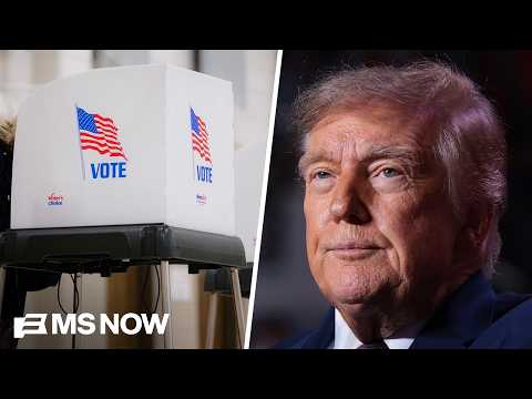 Democrats aren’t being ‘PUNKED’ by Trump’s election meddling this time: Fmr. Amb.