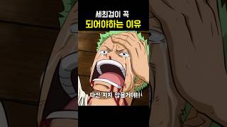 조로가 세최검이 꼭 되어야 하는 이유 (feat. 쿠이나와의 약속) #원피스